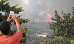 Gümüşhane'deki orman yangını ekiplerce söndürüldü