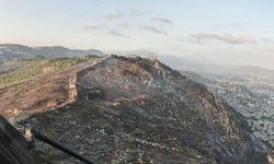 Adana'da çıkan orman yangını söndürüldü