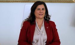 Özlem Çerçioğlu CHP'den istifa etti