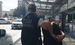 33 ilde DEAŞ operasyonunda 233 şüpheli yakalandı