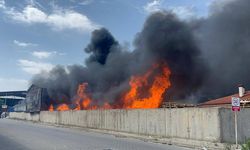Eskişehir'de geri dönüşüm tesisinde yangın