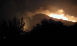 Denizli'deki orman yangını kontrolden çıktı