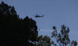 Sinop'taki orman yangınına müdahale ediliyor