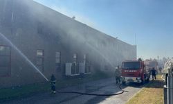 Tekirdağ'da yangın fabrikaya sıçradı!