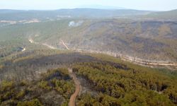 Karabük'te ormanlık alanda çıkan yangına müdahale sürüyor