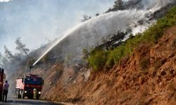 Antalya'da ormanlık alanda yangın çıktı