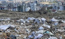 Çevreyi kirletenlere yeni yılda verilecek cezalar belli oldu