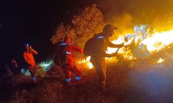 Şemdinli’de orman yangını: 15 ev boşaltıldı