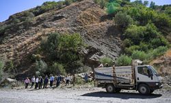 Şırnak'ta kayalar yuvarlandı! 20 hayvan telef oldu