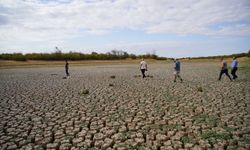 Edirne'deki Şerbettar Göleti tamamen kurudu