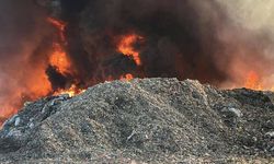 Çanakkale'de zeytinlikten ormana sıçrayan yangına müdahale ediliyor