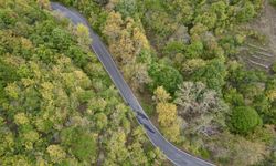 Ganos Dağı eteklerindeki ormanlar sonbahar renklerine bürünmeye başladı