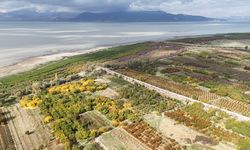 Isparta'da sonbahar renklerine bürünen Eğirdir Gölü havadan görüntülendi
