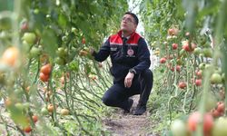 Kars'ta ziraat mühendislerinin oluşturduğu sera vatandaşlara ilham oldu