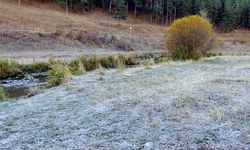 Sarıkamış'ta araç camları ve bitkiler kırağı tuttu