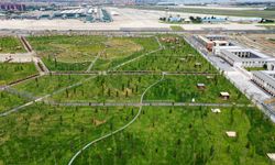 Bu yıl 15 millet bahçesi daha şehirlerle buluştu