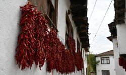 Batı Akdeniz'in ihracat şampiyonu biber oldu