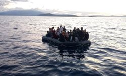 Edirne ve Kırklareli'nde 13 düzensiz göçmen yakalandı