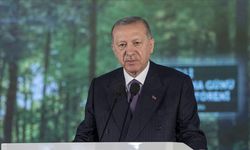 Cumhurbaşkanı Erdoğan, Katar Emiri ile bir araya geldi