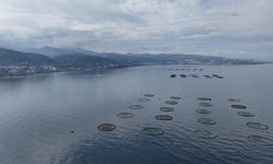 Su ürünleri avcılığı sözleşmeli üretim kapsamına alındı