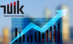 TÜİK Başkanlığına Gelir İdaresi Başkan Yardımcısı Mehmet Arabacı atandı
