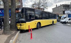 Bağcılar'da İETT otobüsü ağaca çarptı
