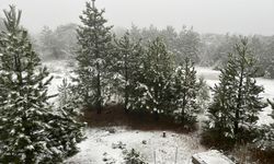 Balıkesir Sındırgı'da yüksek kesimlere kar yağdı