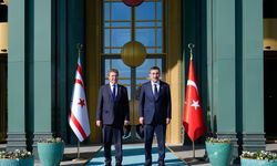 Cumhurbaşkanı Yardımcısı Yılmaz, KKTC Başbakanı Üstel ile görüştü