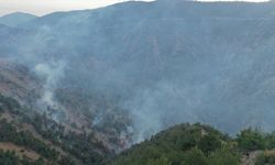 Hatay'da çıkan orman yangını kontrol altına alındı