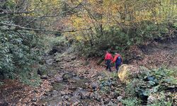 Kastamonu'da kaybolan anne ve oğlunu arama çalışmaları sürüyor