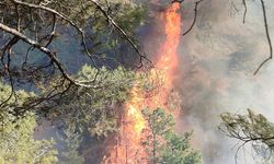 Hatay'da çıkan orman yangınına müdahale ediliyor