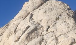 Van'da kayalıklarda mahsur kalan kişiyi AFAD ekipleri kurtardı