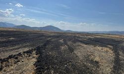 26 kamyon çamur skandalı! 48,6 milyon TL ceza kesildi