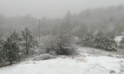 Kars ve Ardahan'da kar yağışı etkili oluyor