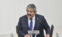 Feti Yıldız: İmralı'ya ben gideceğim