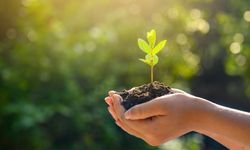 Milli Ağaçlandırma Günü'nde çifte rekor