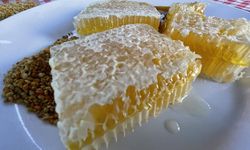 AB'den coğrafi tescil alan Yenice ıhlamur balını markalaştırma çalışmaları devam ediyor