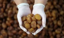 Bursa kestane şekeri AB'den coğrafi işaret tescili aldı