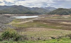 Kuraklık Yalova'yı da vurdu! 20 günlük su kaldı