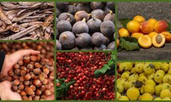 Niğde'de meyve ve sebze işleme tesisi yatırımlarına özel teşvik