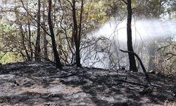Hatay'da çıkan orman yangını ekiplerce kontrol altına alındı