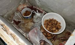 Vatandaşın sağlığını hiçe sayan pideci mühürlendi