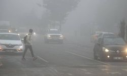 Erzurum ile Ardahan'da sis ve soğuk hava etkili oldu