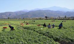 Tarımsal ekim döneminde gözler gelecek yağışlarda
