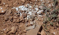 Suriye'de mayının patlaması sonucu 1 çocuk öldü