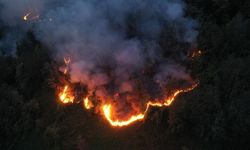 İtalya'nın Sicilya Adası orman yangınlarıyla mücadele ediyor