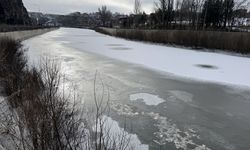 Ardahan ve Kars'ta soğuk hava dondurdu