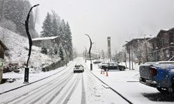 Rize ve Artvin'de kar etkili oldu