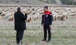 Tiftiğin ekonomiye kazandırılması için destek mekanizmaları geliştirilecek