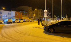 Ardahan'da kar yağışı etkili oldu
